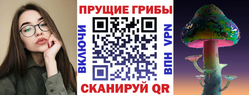 ОМГ ОМГ tor  Поворино  Псилоцибиновые грибы GOLDEN TEACHER  где купить наркоту 