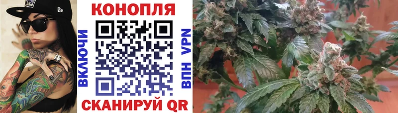 Бошки Шишки марихуана  сколько стоит  Поворино 